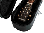 Gator Cases GWE-ACOU-3/4 Hard-Shell Wood Case for 3/4-Size Acoustic Guitars - Hollywood DJ