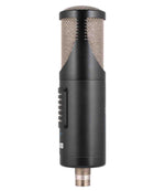 sE Electronics RNT Rupert Neve Signature Multi Pattern Tube Microphone - Hollywood DJ