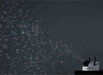 Antari B100XT Bubble Machine with BCT Timer Remote - Hollywood DJ