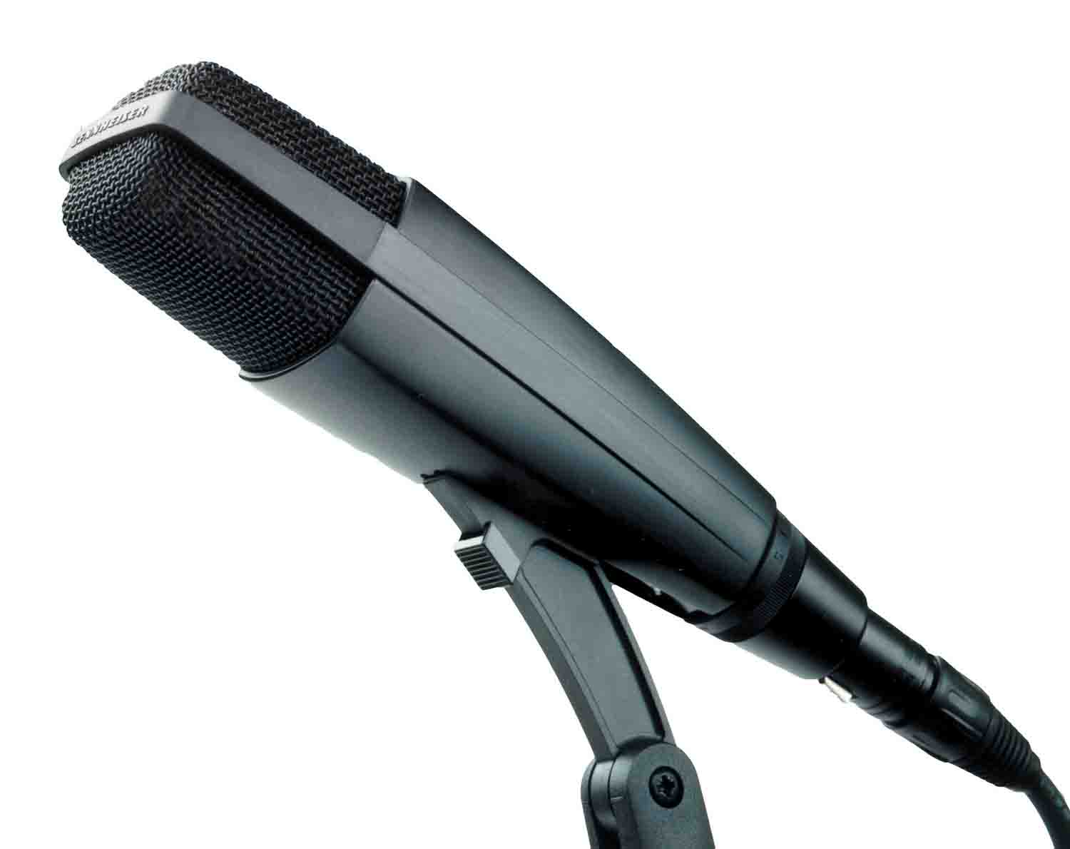 Sennheiser MD 421-II Dynamic Cardioid Microphone with 5-Position Bass Roll-Off Switch - Hollywood DJ