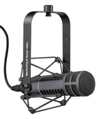 Electro-Voice RE20-BLACK, Broadcast Announcer Microphone with Variable-D (Black) - Hollywood DJ