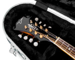 Gator Cases GC-MANDOLIN Deluxe Molded Guitar Case for Both A and F Style Mandolins Guitar - Hollywood DJ