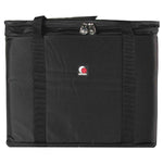 Odyssey BR416 Rack Bag 4U with 16 Inches Interior Depth - Hollywood DJ