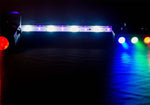 Chauvet Dj JAM Pack Silver With Moonflower, Three-Color Wash Effect Light, And A UV Strobe Combo Light - Hollywood DJ