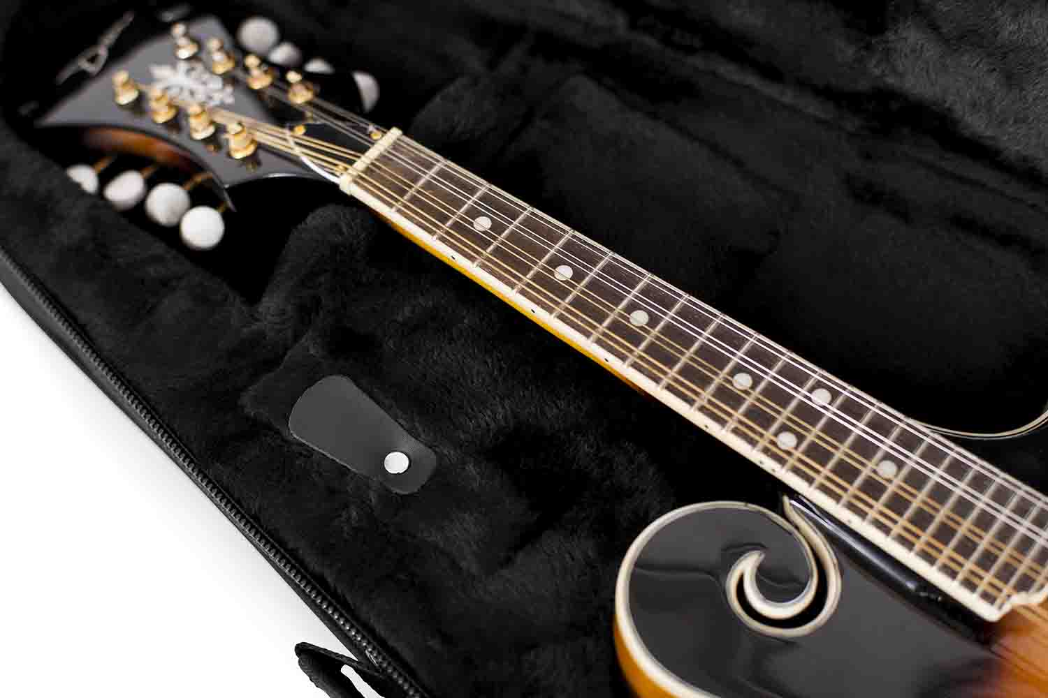 Gator Cases GL-MANDOLIN Rigid EPS Polyfoam Lightweight Guitar Case for Mandolins - Hollywood DJ