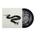 Serato David Ellis Sidewinder Picture Disc 12 Inch Control Vinyl Pressing for Serato DJ Pro - Pair - Hollywood DJ