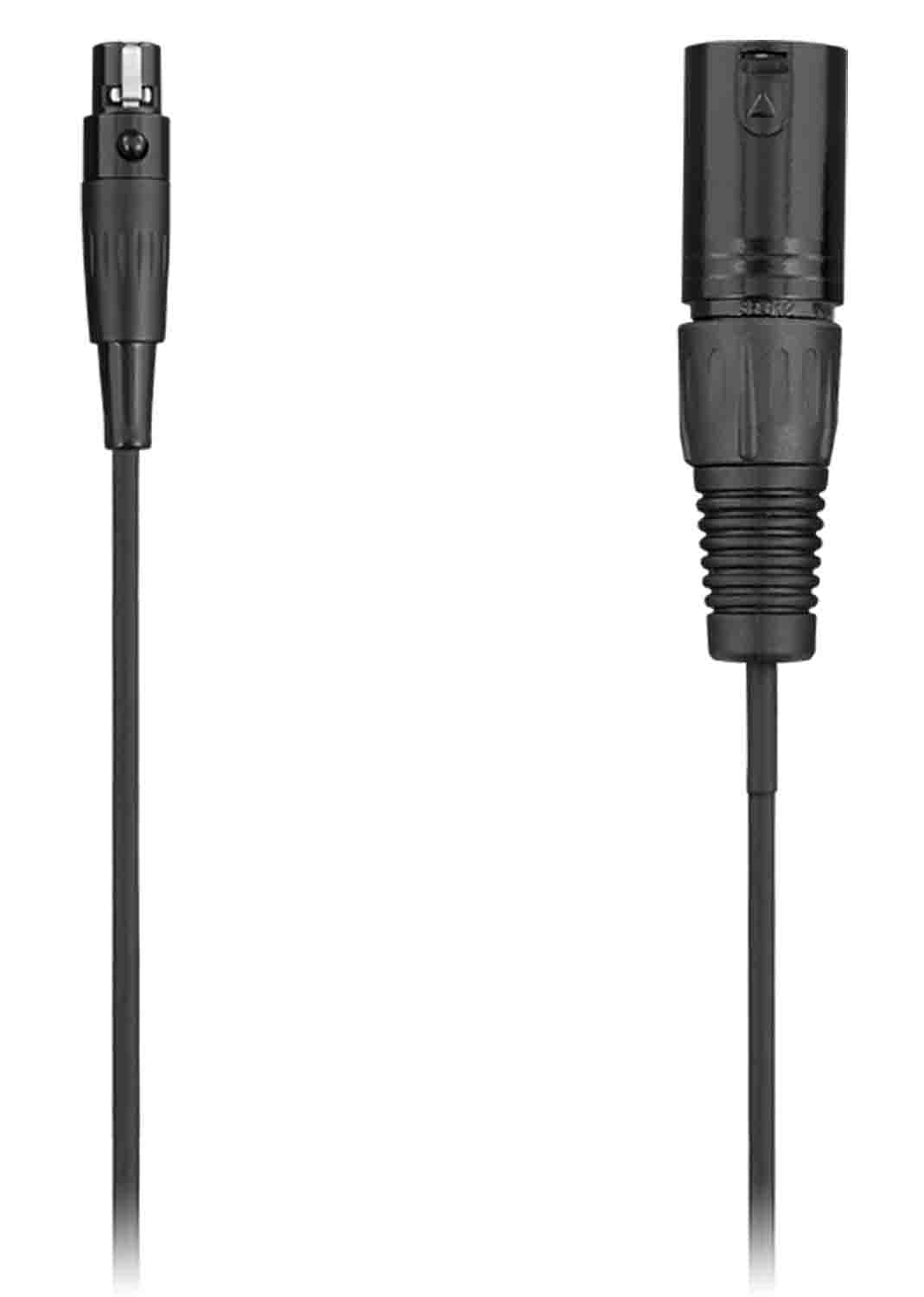 Audix CBLM50 Mini XLR Female to XLR Male Cable - 50ft - Hollywood DJ