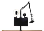 Gator Frameworks GFW-ID-CTVESAMNT ID Series Creator Tree VESA Mount for Main Tower - Hollywood DJ