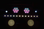 JMAZ Versa Flex Par DUO324 LED Par Featuring 162 Cool White and Warm White SMD LEDs - Pair - Hollywood DJ