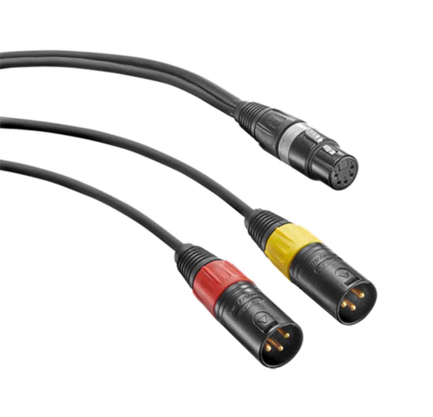 Neumann AC 20 5-Pin XLR Female to 2 3-Pin XLR Male Adapter Y-Cable - 3.3' Foot - Hollywood DJ