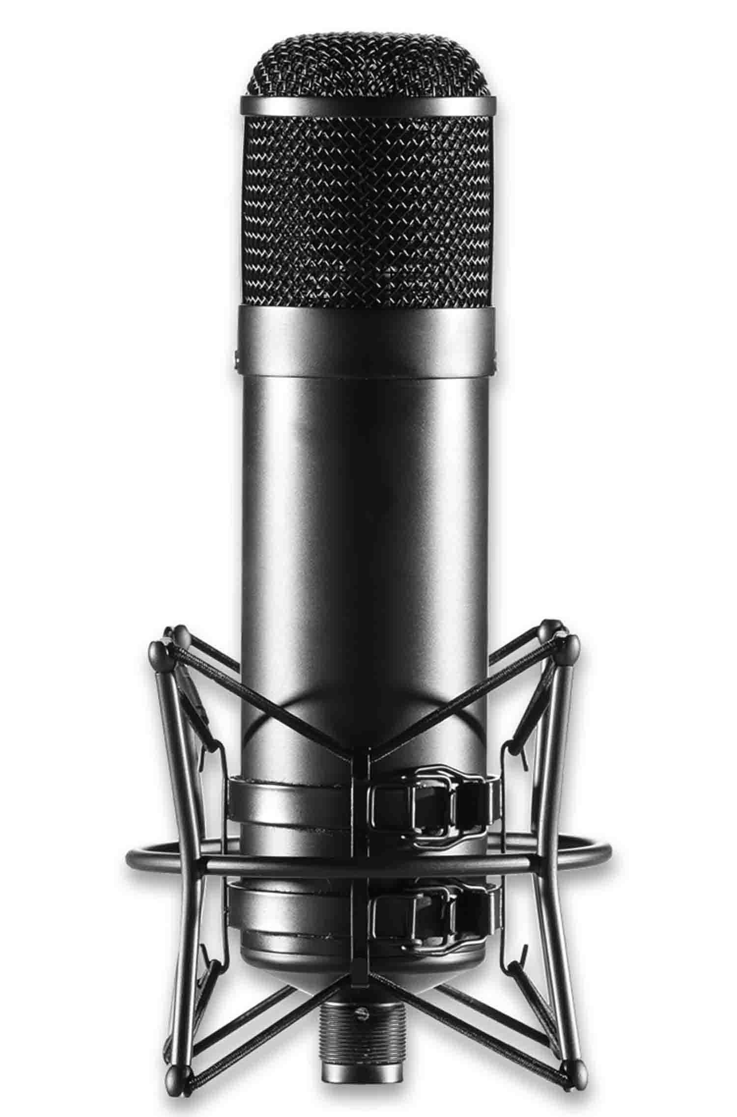 Art T4 Multi Pattern Tube Microphone - Hollywood DJ