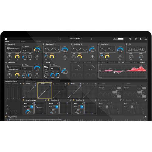 ROLI Seaboard RISE49 49-Note USB Keyboard Controller and Synthesizer - Hollywood DJ