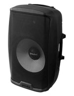 Gemini Sound AS-2115BT-PK, 15-Inch Active Bluetooth Loudspeaker with Stand and Mic - 2000W - Hollywood DJ