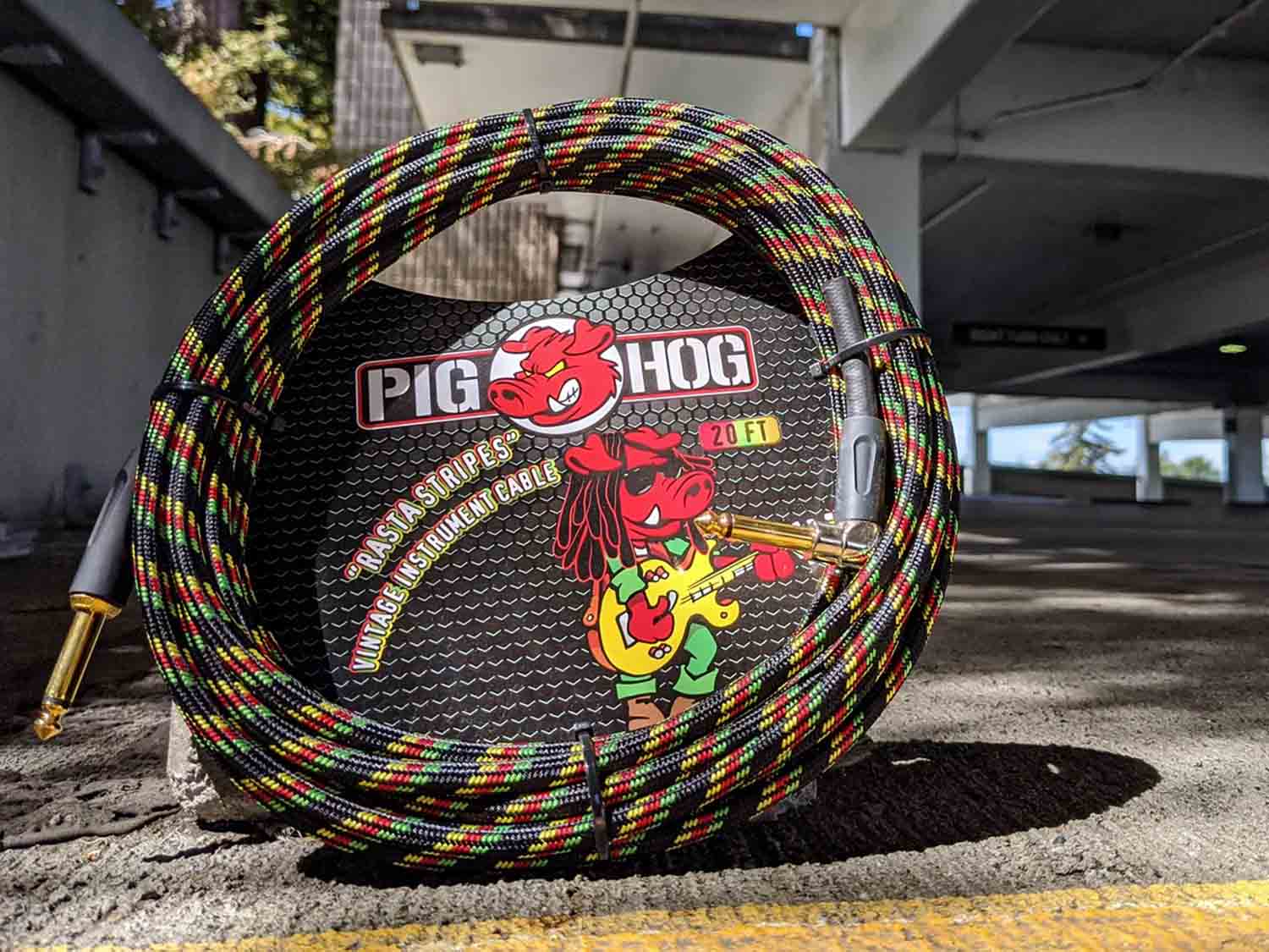 Pig Hog PCH20RAR, Rasta Stripes Instrument Cable with Angled End - 20 Foot - Hollywood DJ