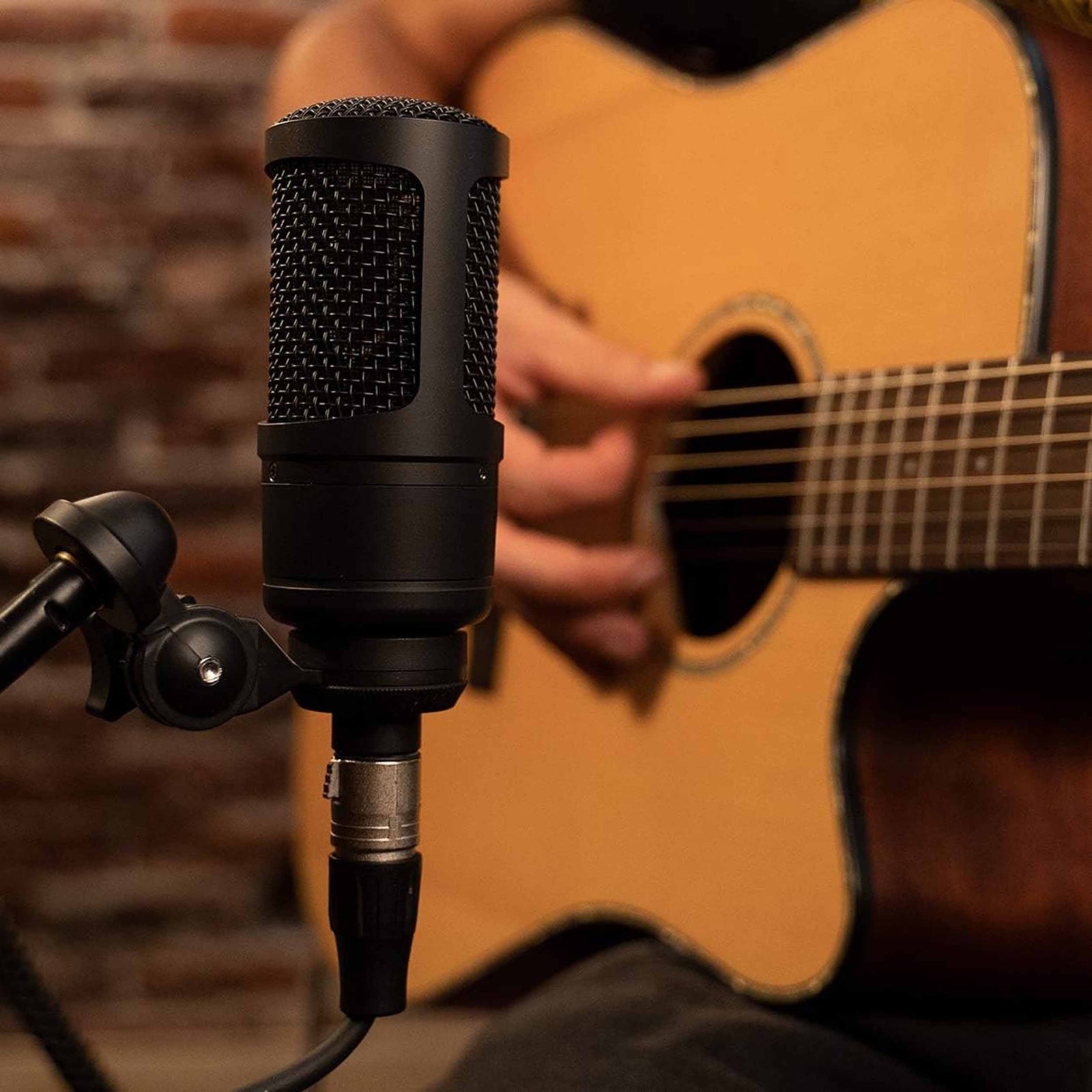 Antelope Audio Edge Solo Large Diaphragm Condenser Modeling XLR Microphone - Hollywood DJ