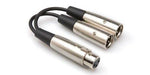 Hosa YXM-121 Y Cable, XLR3F to Dual XLR3M, 6 in - Hollywood DJ