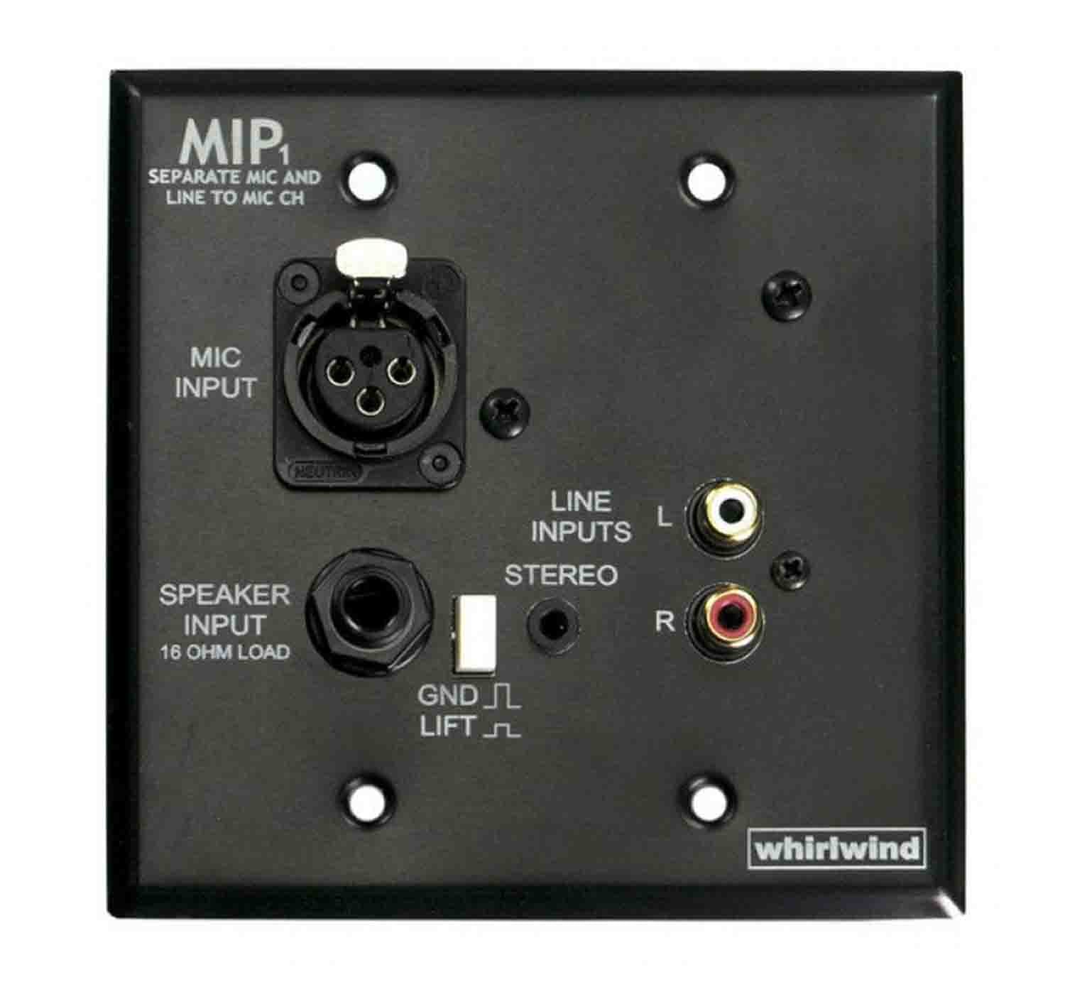 Whirlwind MIP1B 2-Gang Wall Plate With 4 Audio Inputs and Ground Lift Switch - Hollywood DJ