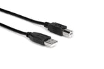Hosa USB-203AB High Speed USB Cable Type A to Type B - 3 Feet - Hollywood DJ