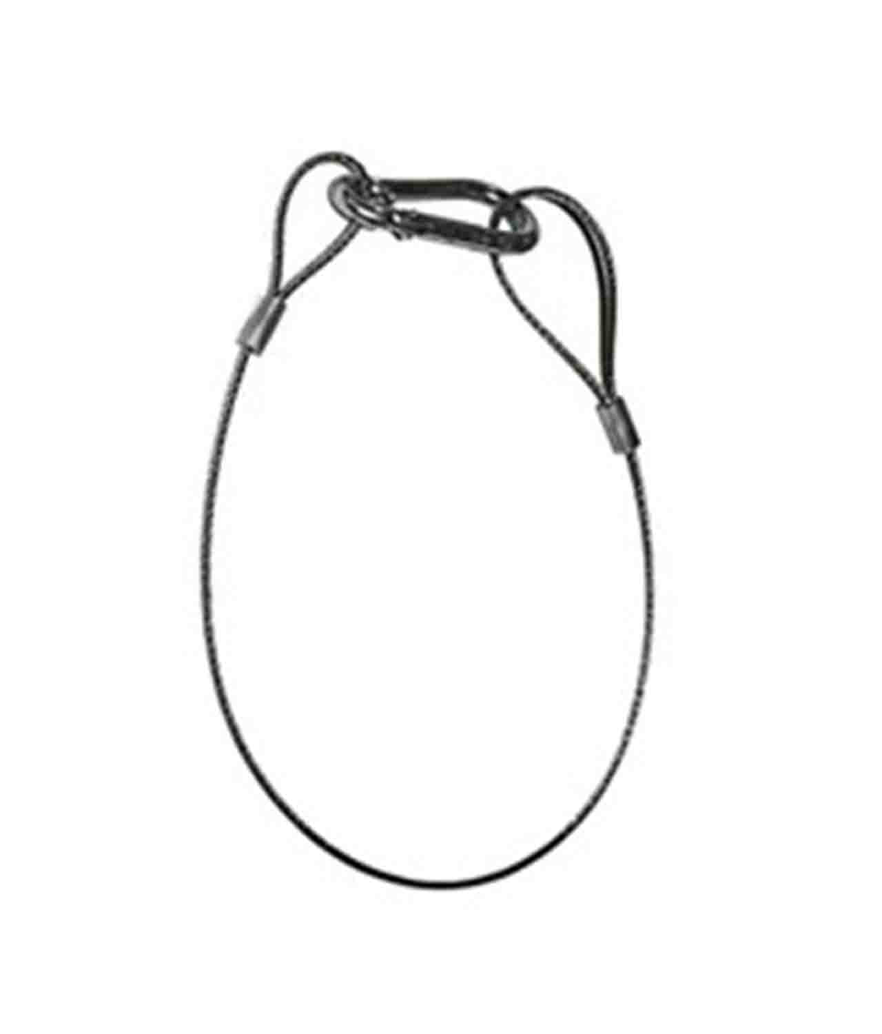 Odyssey LASC2, 30-Inch Long Safety Cable with Standard Size Spring Hook - Hollywood DJ