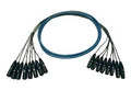 Whirlwind MT-12-F-M-10, 12-Channel XLRM-XLRF Multitrack Snake - 10 foot by Whirlwind